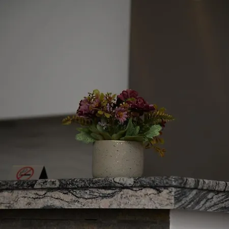 Lilien Airport アパート